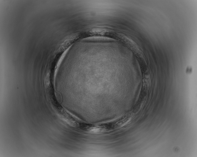 X0000100970504200807151355