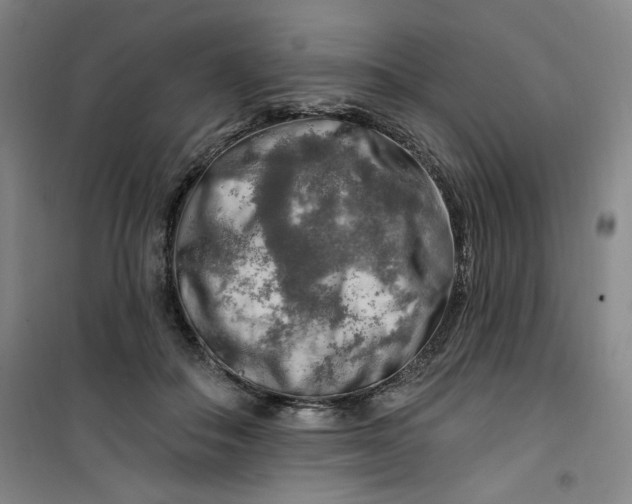 X0000100970506200807151355