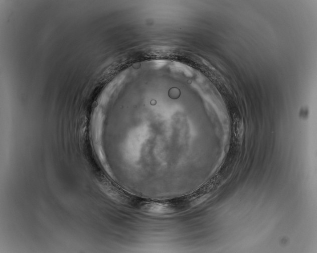 X0000100970507200807151355