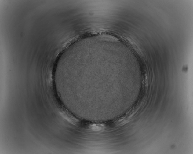 X0000100970508200807151355