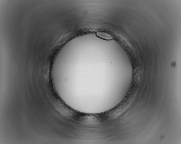 X0000100970509200807151355