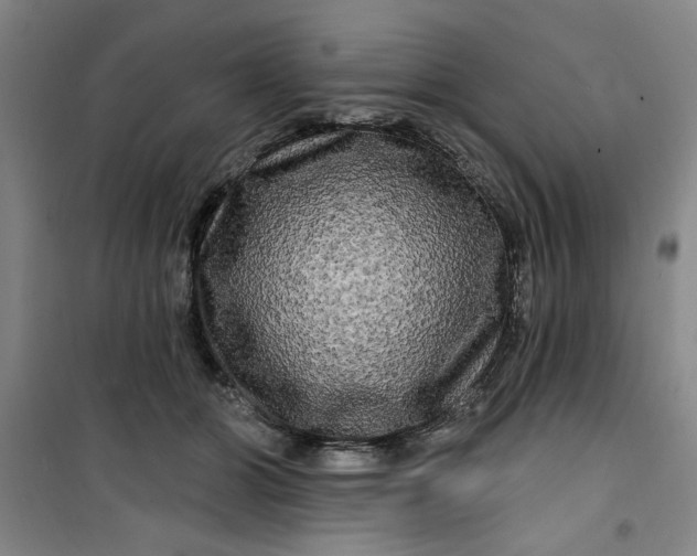 X0000100970510200807151355
