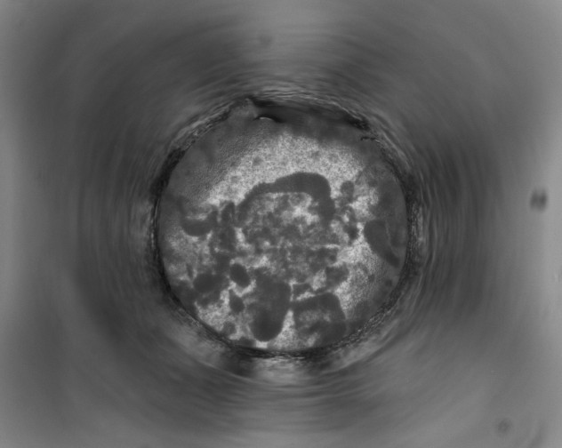 X0000100970511200807151355