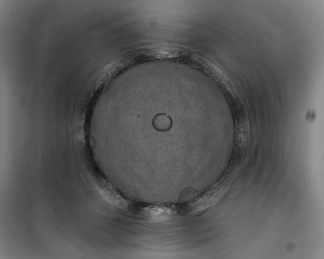 X0000100970512200807151355
