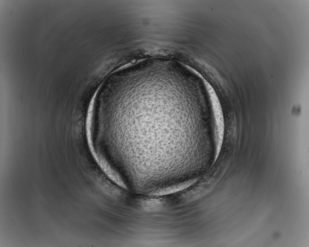 X0000100970513200807151355