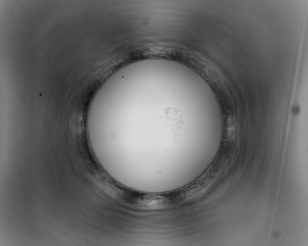 X0000100970514200807151355