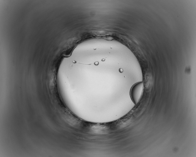 X0000100970515200807151354