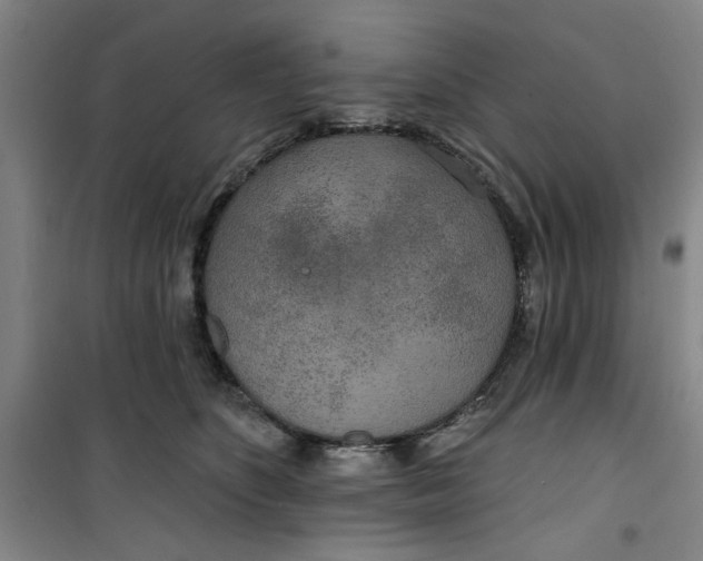 X0000100970516200807151354