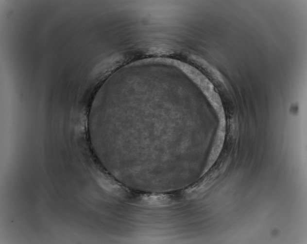 X0000100970517200807151354