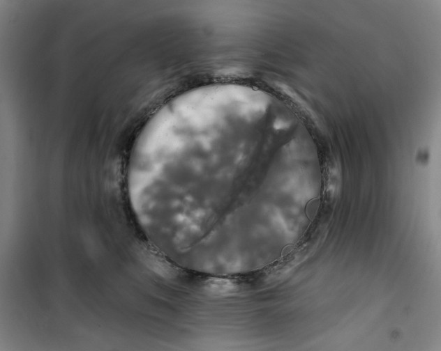 X0000100970519200807151354