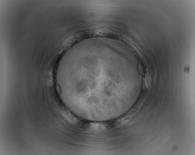 X0000100970520200807151354