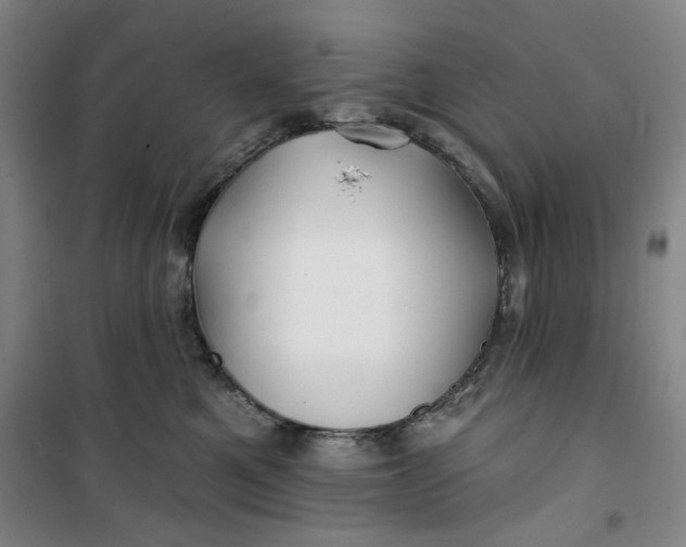 X0000100970521200807151354