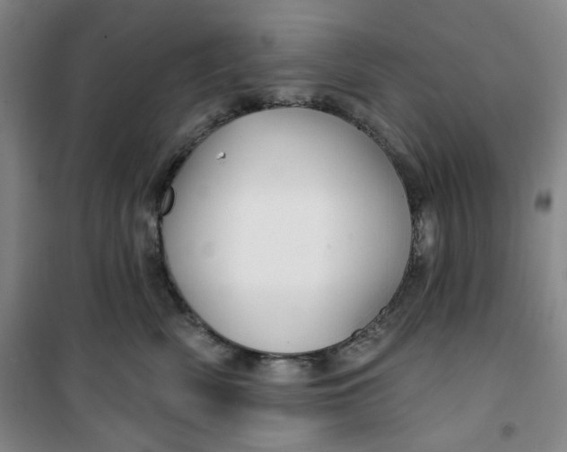 X0000100970522200807151354