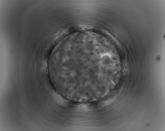 X0000100970523200807151354