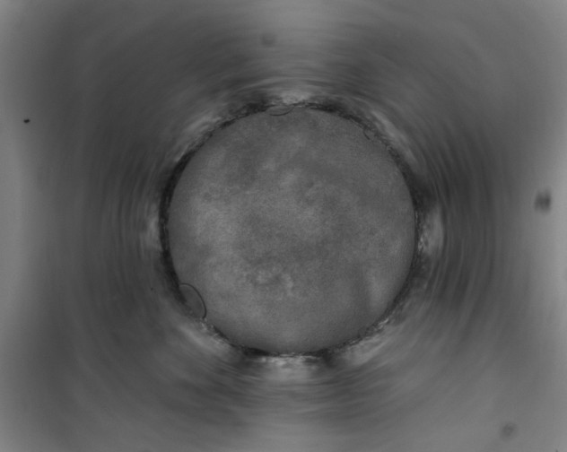 X0000100970524200807151354