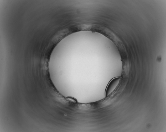 X0000100970525200807151354