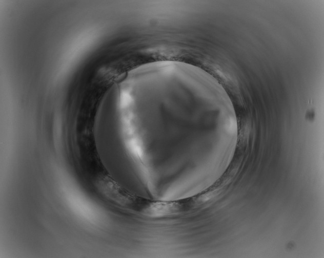 X0000100970526200807151354