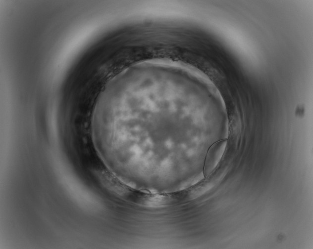 X0000100970527200807151354