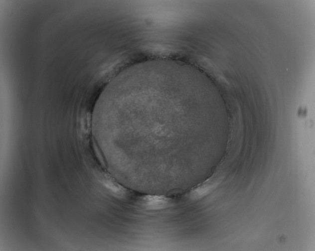 X0000100970528200807151354