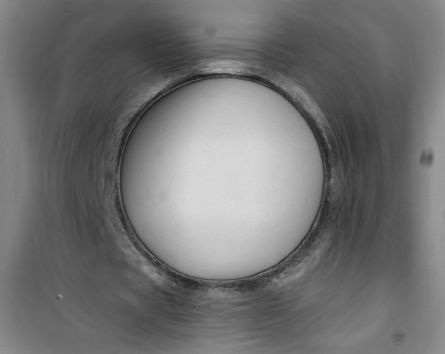 X0000100970529200807151353