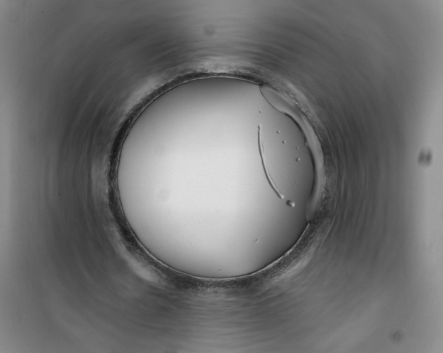 X0000100970530200807151354