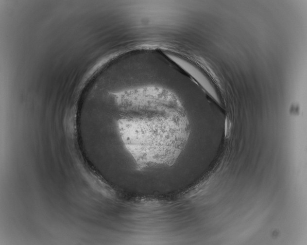 X0000100970531200807151354