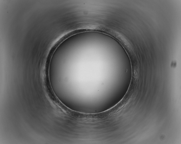 X0000100970532200807151354