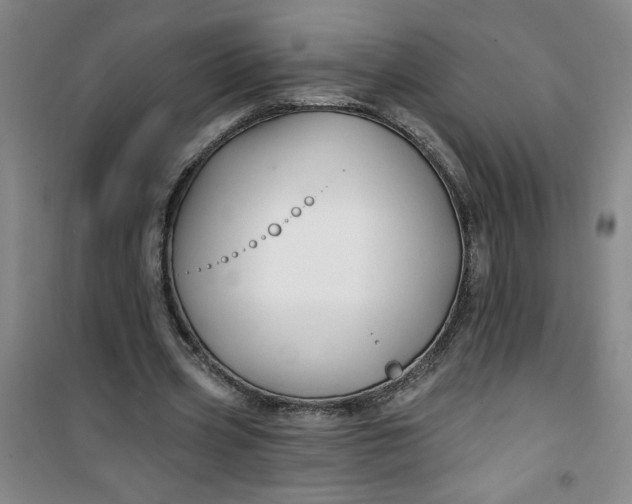 X0000100970533200807151354