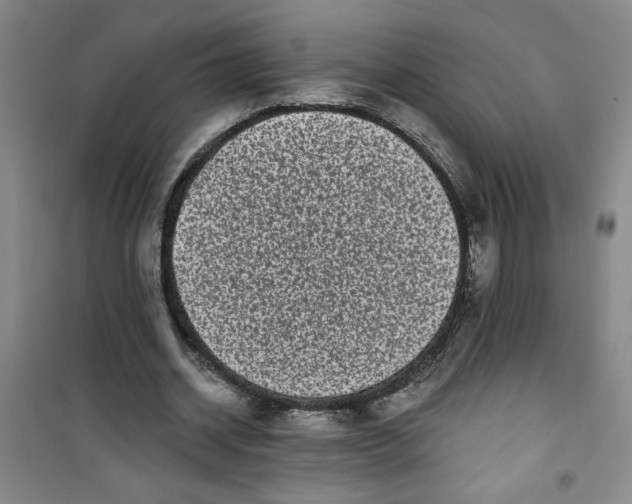 X0000100970534200807151354