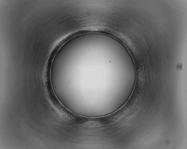 X0000100970536200807151354