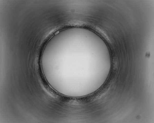 X0000100970538200807151354
