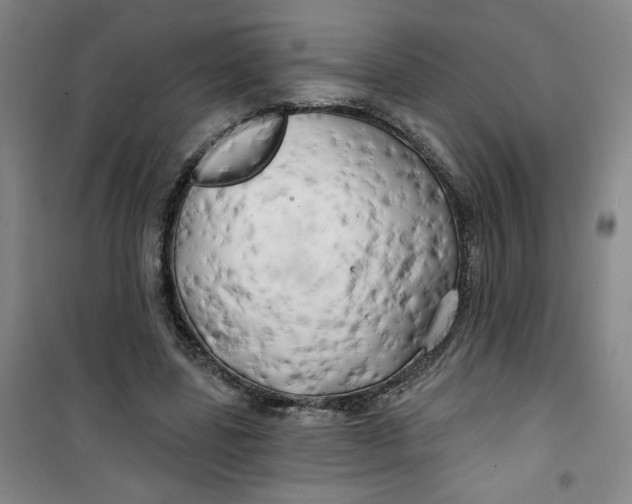 X0000100970539200807151354