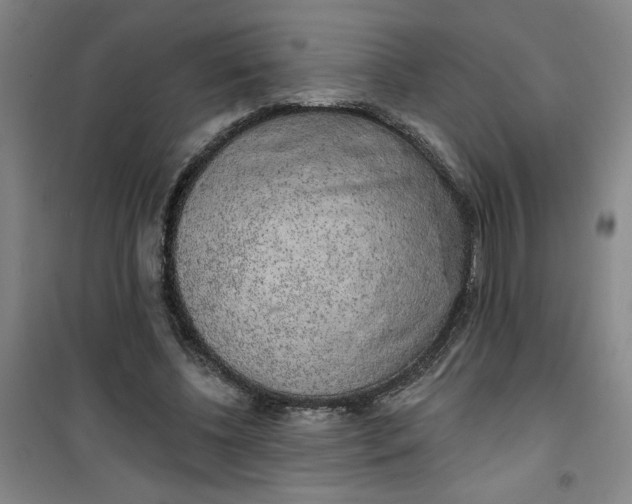 X0000100970540200807151354