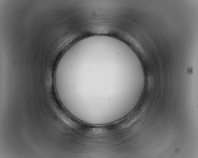 X0000100970541200807151354