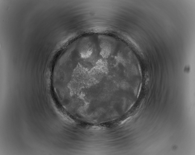 X0000100970542200807151354