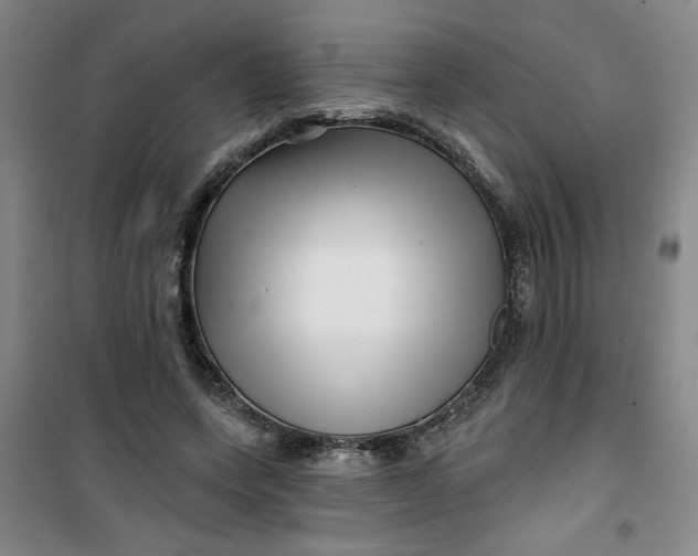 X0000100970543200807151354