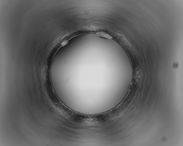 X0000100970544200807151354