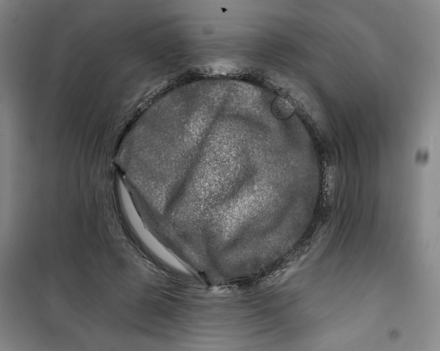 X0000100970545200807151354