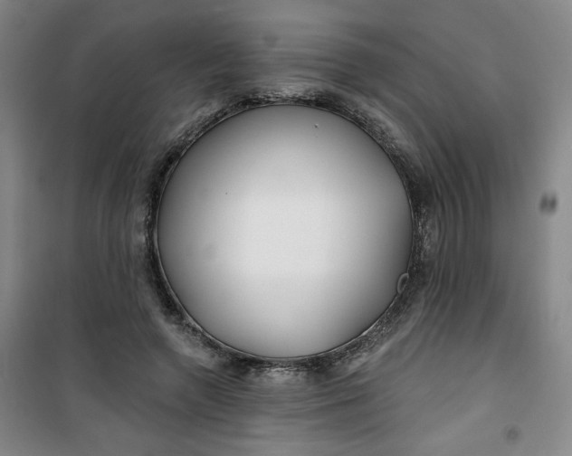 X0000100970546200807151354