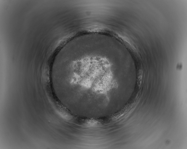 X0000100970547200807151354