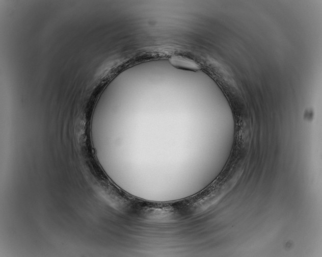 X0000100970548200807151354