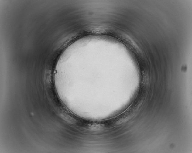 X0000100970549200807151354