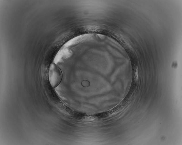 X0000100970551200807151354