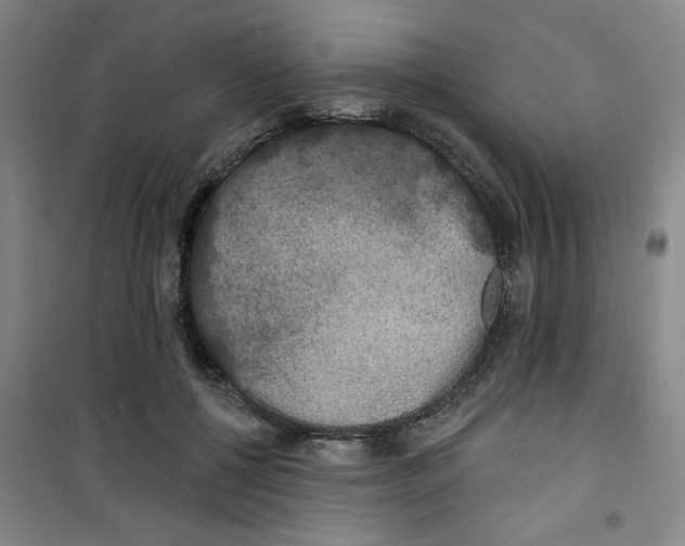 X0000100970552200807151354