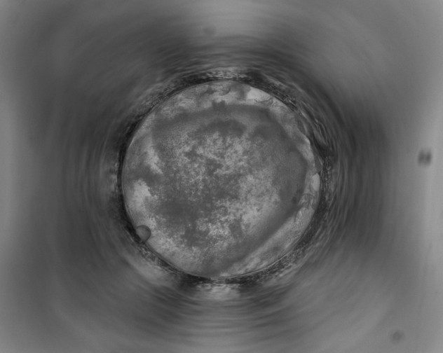 X0000100970553200807151354