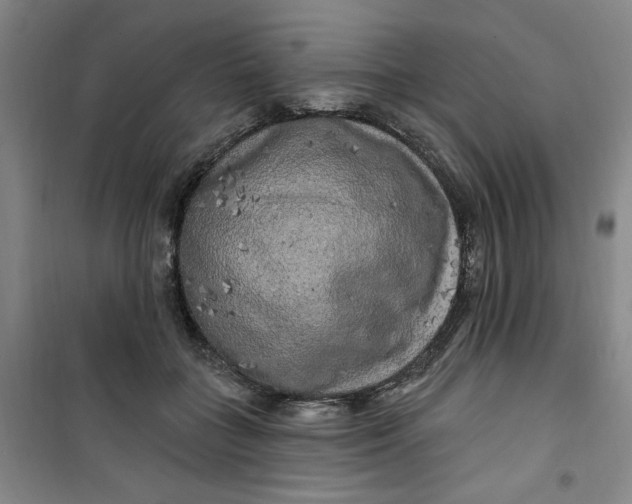 X0000100970555200807151354