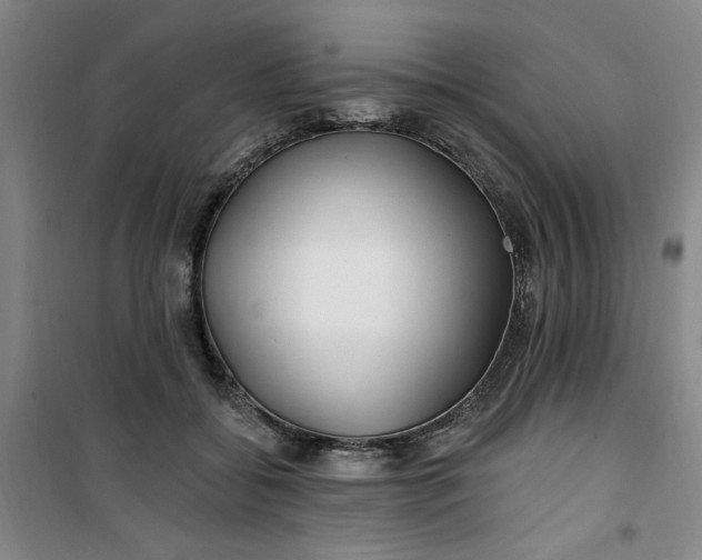 X0000100970556200807151354