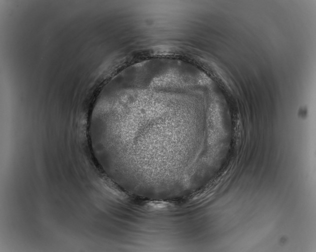 X0000100970557200807151354