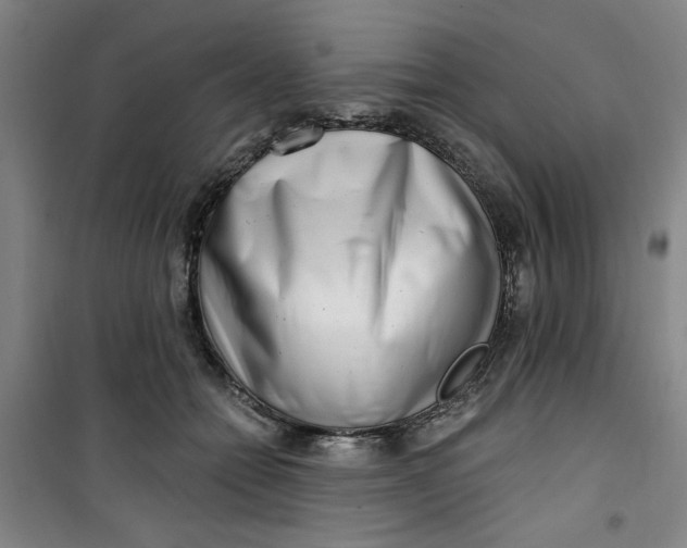 X0000100970558200807151354