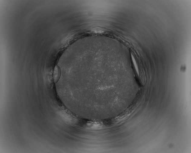 X0000100970559200807151354